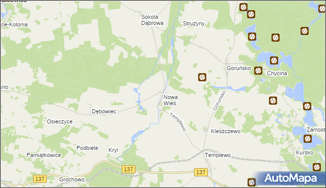 mapa Nowa Wieś gmina Bledzew, Nowa Wieś gmina Bledzew na mapie Targeo