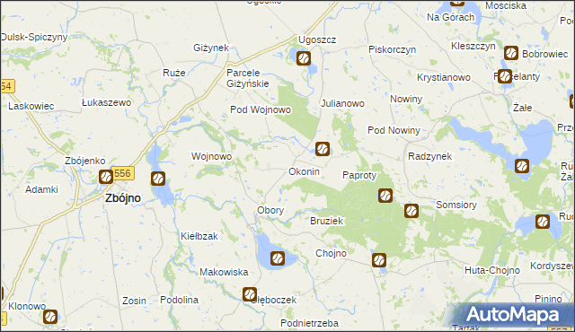 mapa Okonin gmina Brzuze, Okonin gmina Brzuze na mapie Targeo