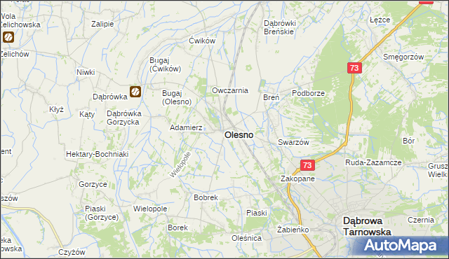 mapa Olesno powiat dąbrowski, Olesno powiat dąbrowski na mapie Targeo