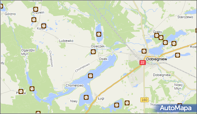 mapa Osiek gmina Dobiegniew, Osiek gmina Dobiegniew na mapie Targeo