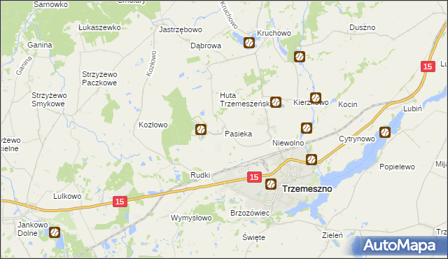 mapa Pasieka gmina Trzemeszno, Pasieka gmina Trzemeszno na mapie Targeo