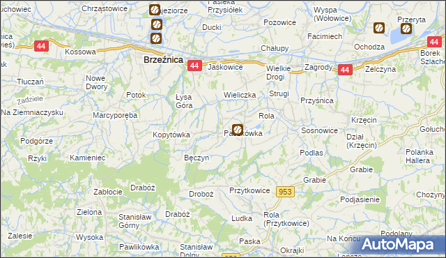 mapa Paszkówka gmina Brzeźnica, Paszkówka gmina Brzeźnica na mapie Targeo
