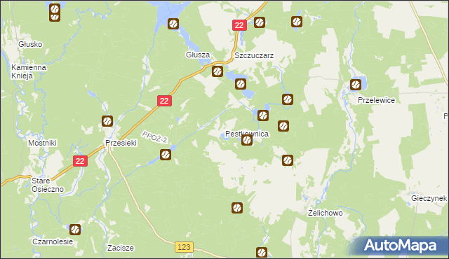 mapa Pestkownica, Pestkownica na mapie Targeo