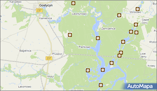 mapa Pieńkowo gmina Gostycyn, Pieńkowo gmina Gostycyn na mapie Targeo