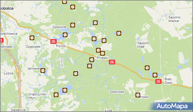 mapa Pniewki, Pniewki na mapie Targeo