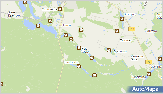 mapa Psie Głowy, Psie Głowy na mapie Targeo