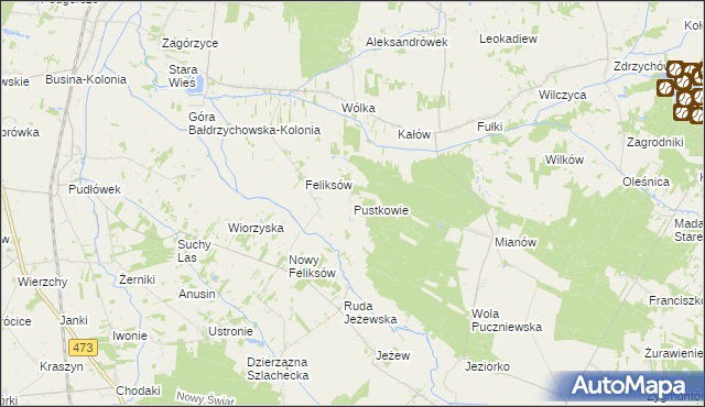mapa Pustkowie gmina Poddębice, Pustkowie gmina Poddębice na mapie Targeo