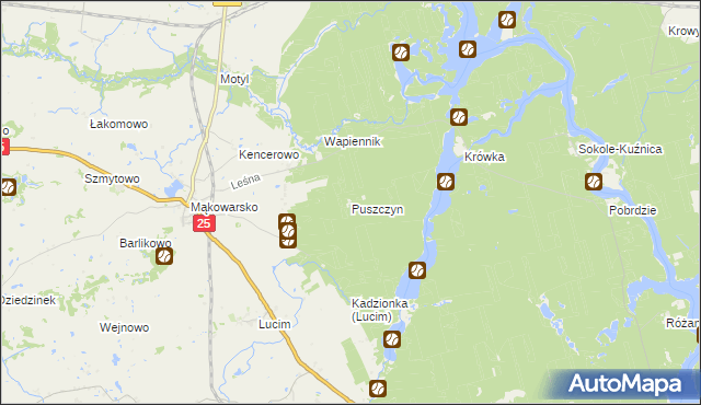 mapa Puszczyn gmina Koronowo, Puszczyn gmina Koronowo na mapie Targeo