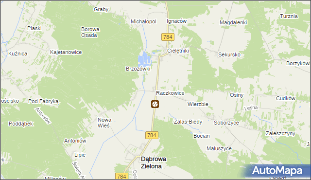 mapa Raczkowice, Raczkowice na mapie Targeo