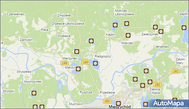 mapa Radgoszcz gmina Międzychód, Radgoszcz gmina Międzychód na mapie Targeo