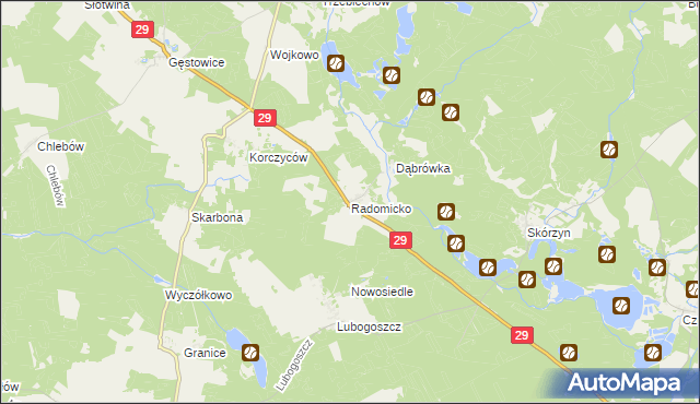 mapa Radomicko gmina Maszewo, Radomicko gmina Maszewo na mapie Targeo