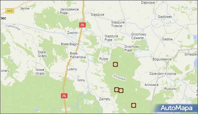 mapa Rybie gmina Rychwał, Rybie gmina Rychwał na mapie Targeo