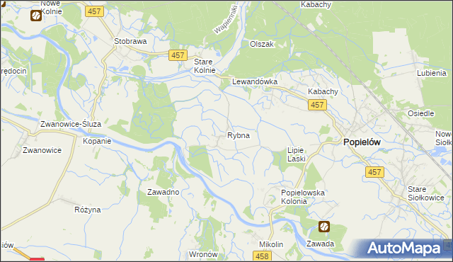 mapa Rybna gmina Popielów, Rybna gmina Popielów na mapie Targeo