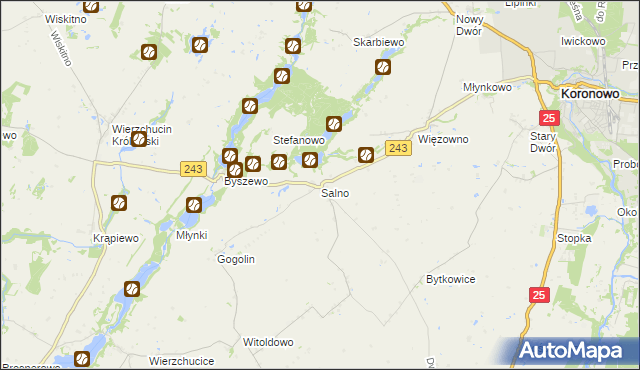 mapa Salno gmina Koronowo, Salno gmina Koronowo na mapie Targeo