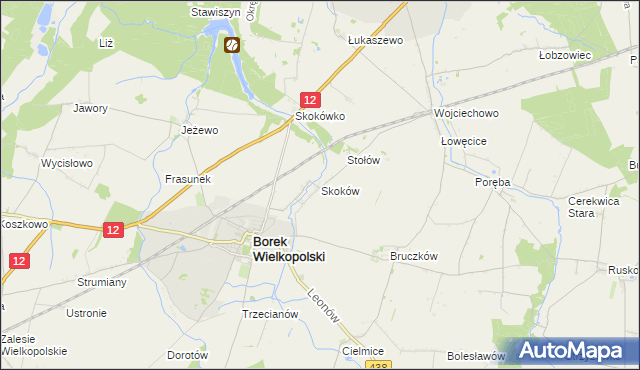 mapa Skoków gmina Borek Wielkopolski, Skoków gmina Borek Wielkopolski na mapie Targeo