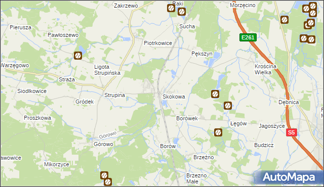 mapa Skokowa, Skokowa na mapie Targeo