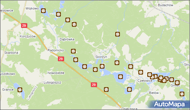 mapa Skórzyn gmina Maszewo, Skórzyn gmina Maszewo na mapie Targeo