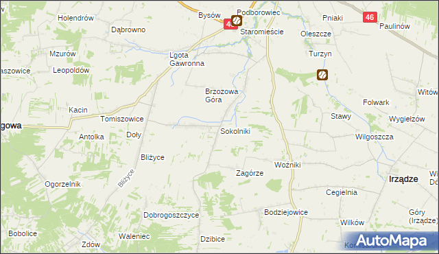 mapa Sokolniki gmina Niegowa, Sokolniki gmina Niegowa na mapie Targeo