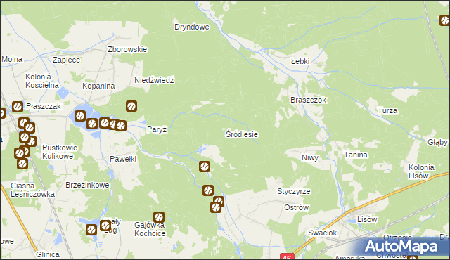 mapa Śródlesie gmina Kochanowice, Śródlesie gmina Kochanowice na mapie Targeo