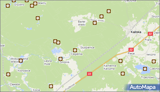 mapa Studzienice gmina Kaliska, Studzienice gmina Kaliska na mapie Targeo