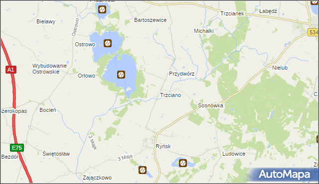 mapa Trzciano gmina Ryńsk, Trzciano gmina Ryńsk na mapie Targeo