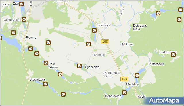 mapa Trzciniec gmina Czaplinek, Trzciniec gmina Czaplinek na mapie Targeo