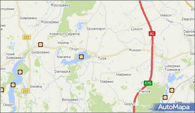 mapa Turze gmina Tczew, Turze gmina Tczew na mapie Targeo