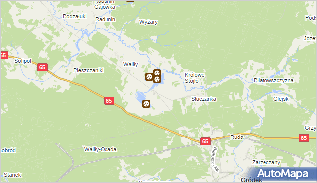 mapa Waliły-Dwór, Waliły-Dwór na mapie Targeo