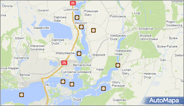 mapa Wąsosze gmina Ślesin, Wąsosze gmina Ślesin na mapie Targeo