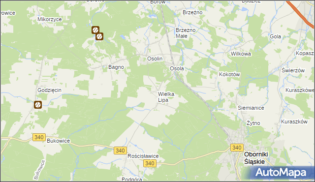 mapa Wielka Lipa, Wielka Lipa na mapie Targeo