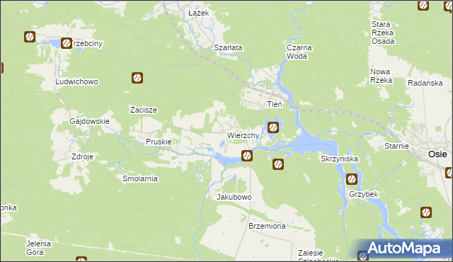 mapa Wierzchy gmina Osie, Wierzchy gmina Osie na mapie Targeo