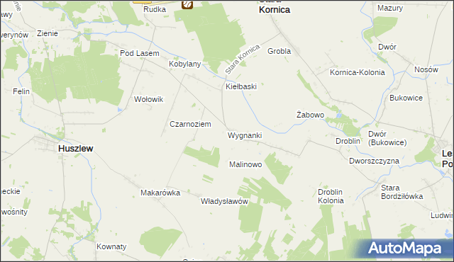 mapa Wygnanki, Wygnanki na mapie Targeo
