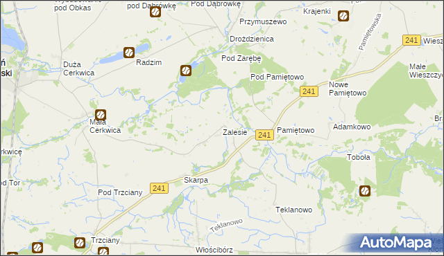 mapa Zalesie gmina Sępólno Krajeńskie, Zalesie gmina Sępólno Krajeńskie na mapie Targeo