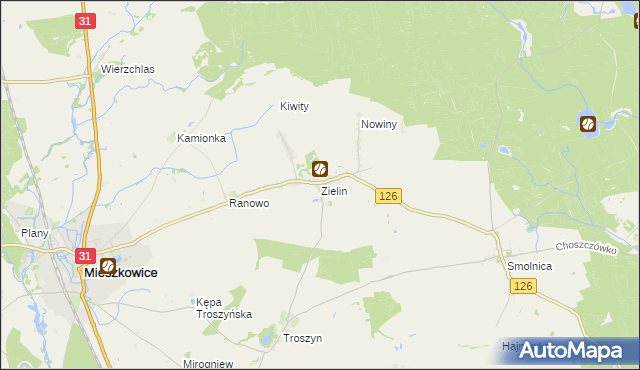 mapa Zielin gmina Mieszkowice, Zielin gmina Mieszkowice na mapie Targeo