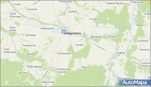 mapa Anielin gmina Wielgomłyny, Anielin gmina Wielgomłyny na mapie Targeo