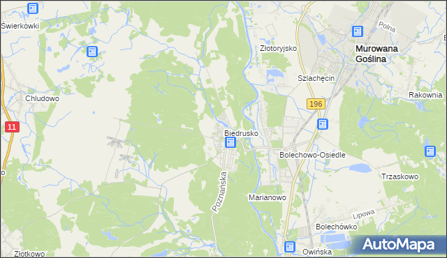 mapa Biedrusko, Biedrusko na mapie Targeo