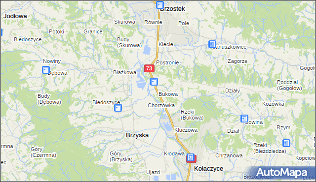 mapa Bukowa gmina Brzostek, Bukowa gmina Brzostek na mapie Targeo