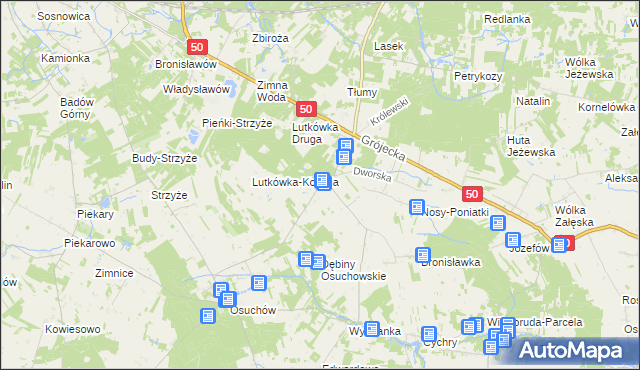 mapa Lutkówka gmina Mszczonów, Lutkówka gmina Mszczonów na mapie Targeo