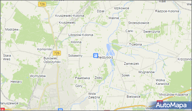 mapa Międzybórz gmina Opoczno, Międzybórz gmina Opoczno na mapie Targeo