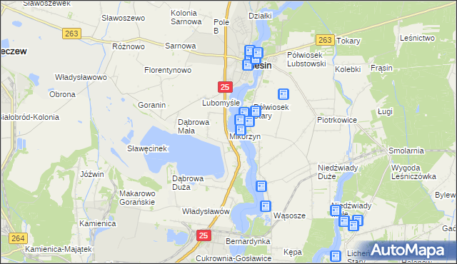 mapa Mikorzyn gmina Ślesin, Mikorzyn gmina Ślesin na mapie Targeo