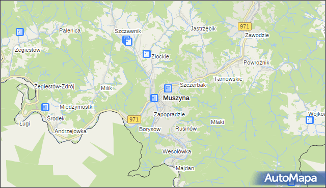 mapa Muszyna, Muszyna na mapie Targeo