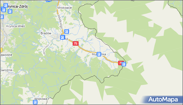 mapa Muszynka, Muszynka na mapie Targeo