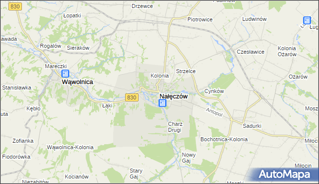 mapa Nałęczów powiat puławski, Nałęczów powiat puławski na mapie Targeo