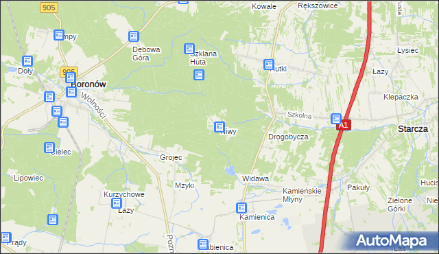 mapa Niwy gmina Woźniki, Niwy gmina Woźniki na mapie Targeo