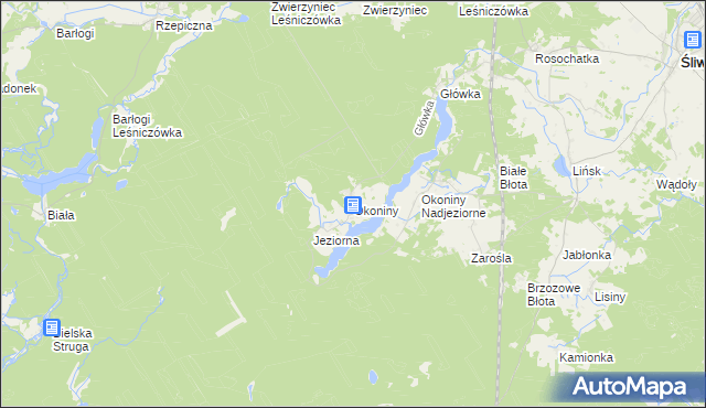 mapa Okoniny gmina Śliwice, Okoniny gmina Śliwice na mapie Targeo