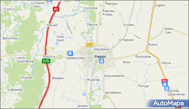 mapa Pelplin, Pelplin na mapie Targeo