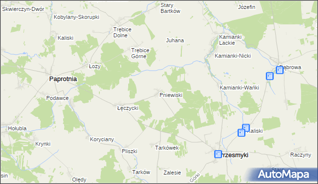 mapa Pniewiski, Pniewiski na mapie Targeo