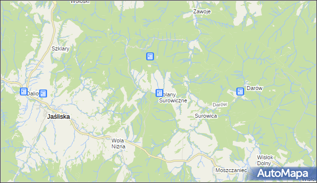 mapa Polany Surowiczne, Polany Surowiczne na mapie Targeo