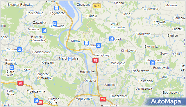 mapa Wielogłowy gmina Chełmiec, Wielogłowy gmina Chełmiec na mapie Targeo