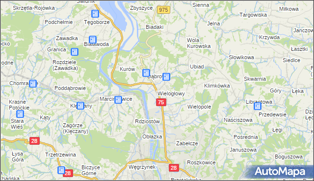 mapa Wielogłowy gmina Chełmiec, Wielogłowy gmina Chełmiec na mapie Targeo